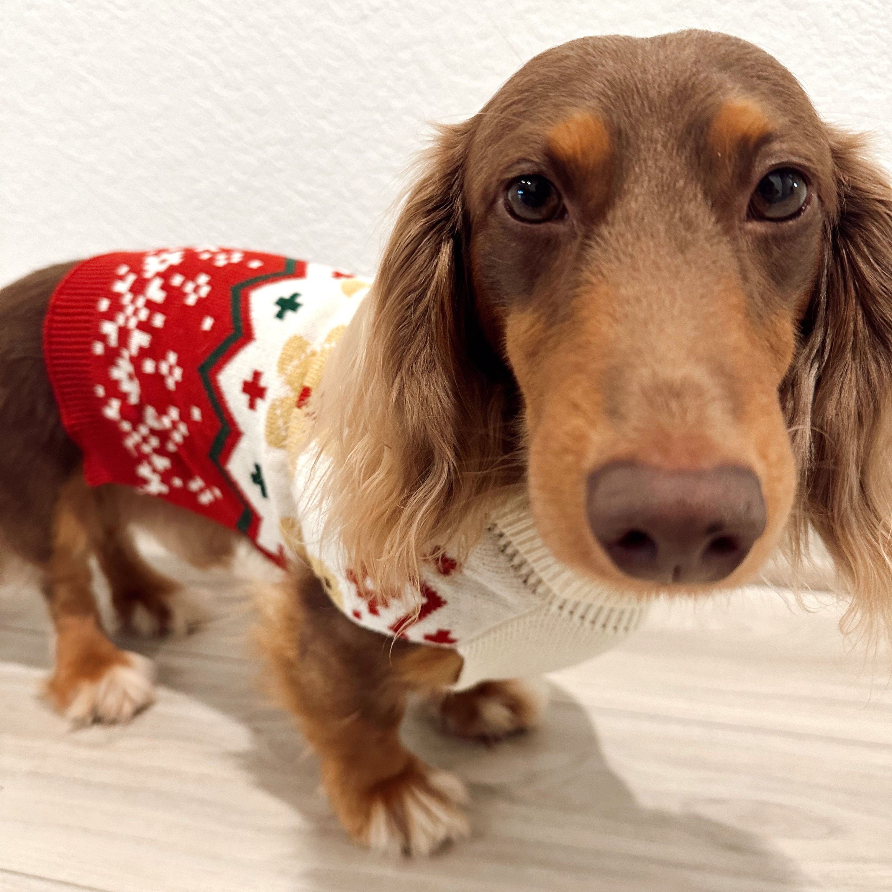 Gingerbread Sweater