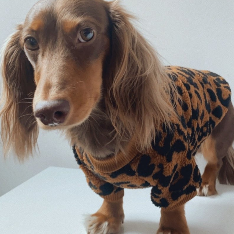 Gorgeous Leopard Sweater 