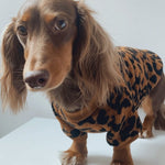 Load image into Gallery viewer, Gorgeous Leopard Sweater 
