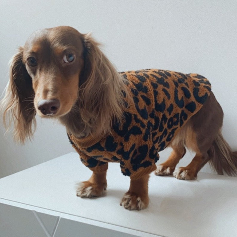 Leopard Sweater for dogs