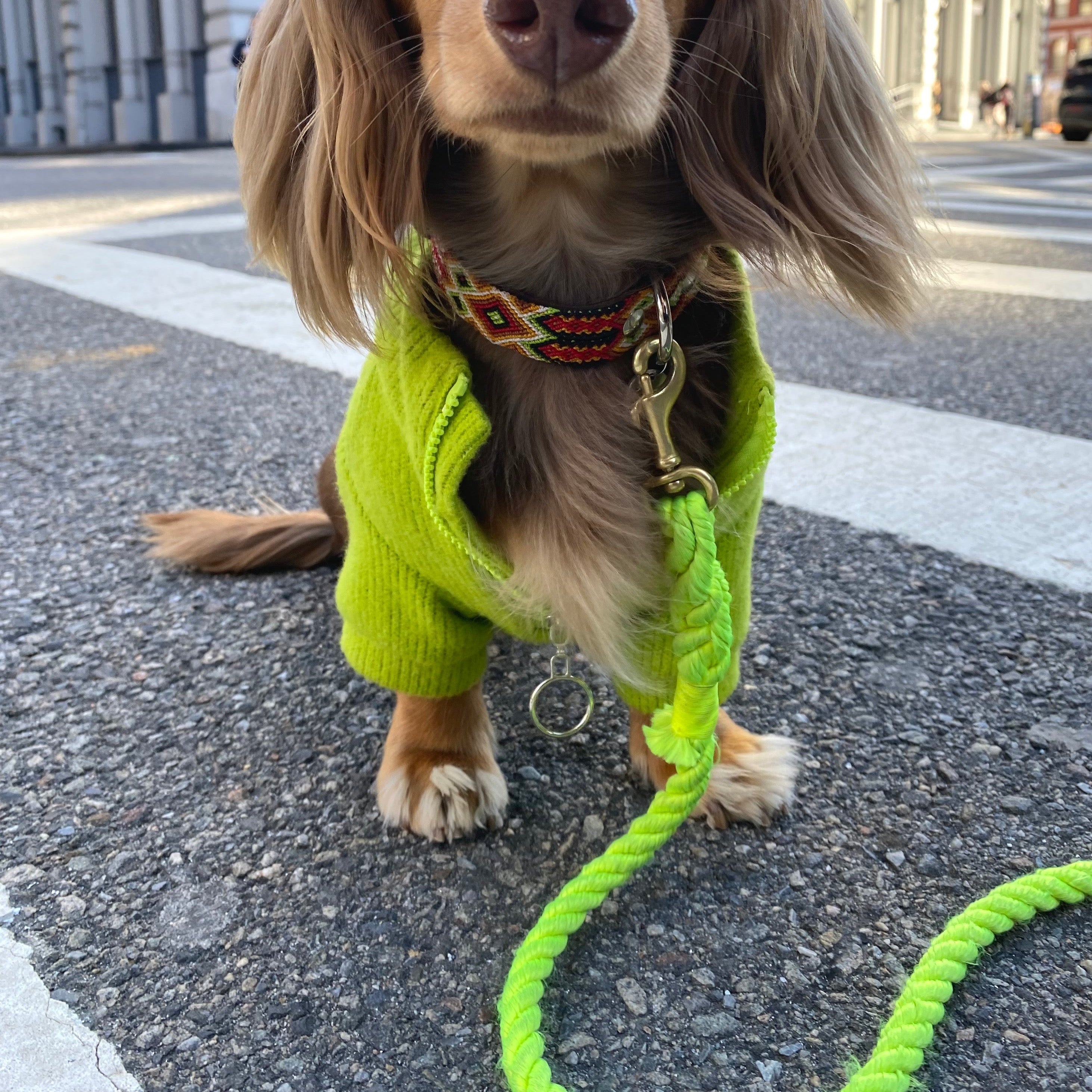 Neon Yellow Hands Free Rope Leash