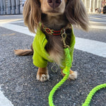 Load image into Gallery viewer, Neon Yellow Hands Free Rope Leash
